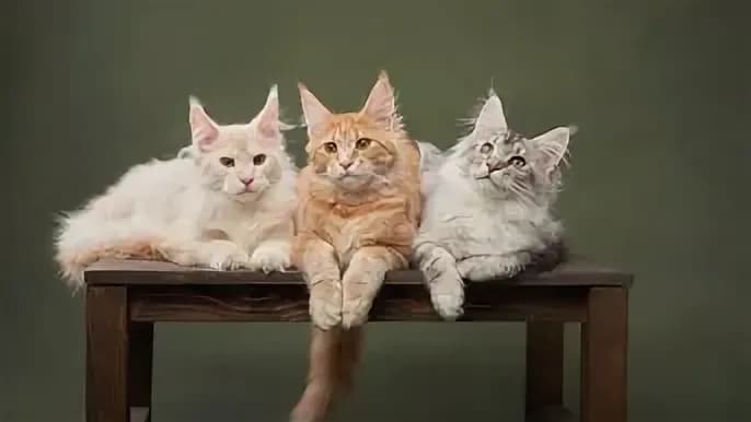 post-gold-and-silver-trading-today-spot-prices-market-analysis-and-trading-strategies-image